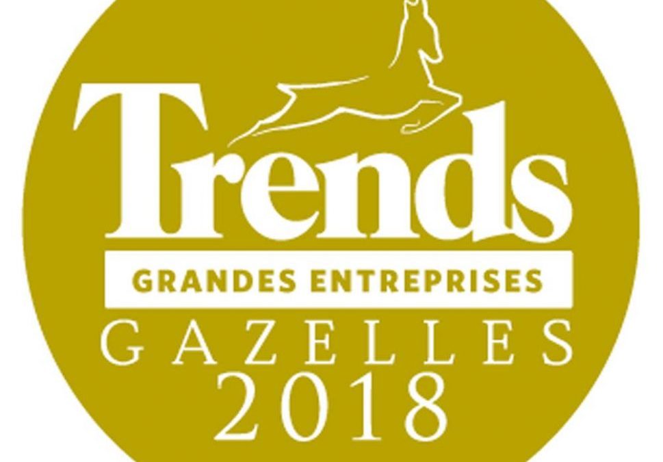 Classement 2018 des Trends Gazelles